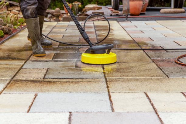 Best Spring Cleaning  in Alamo Heights, TX